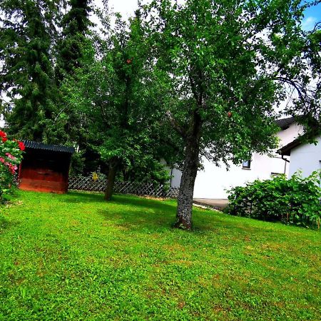 Milonia 2 Daire Bernkastel-Kues Dış mekan fotoğraf